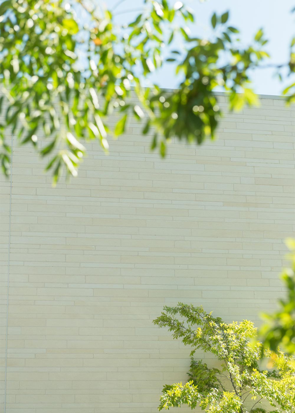 Mountview House, Melbourne VIC, Mount Gambier Limestone